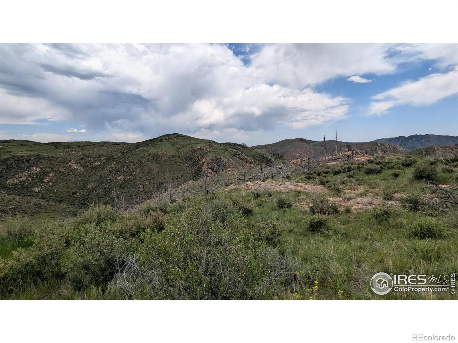 1324 Meadow Mountain Drive Livermore CO 80536