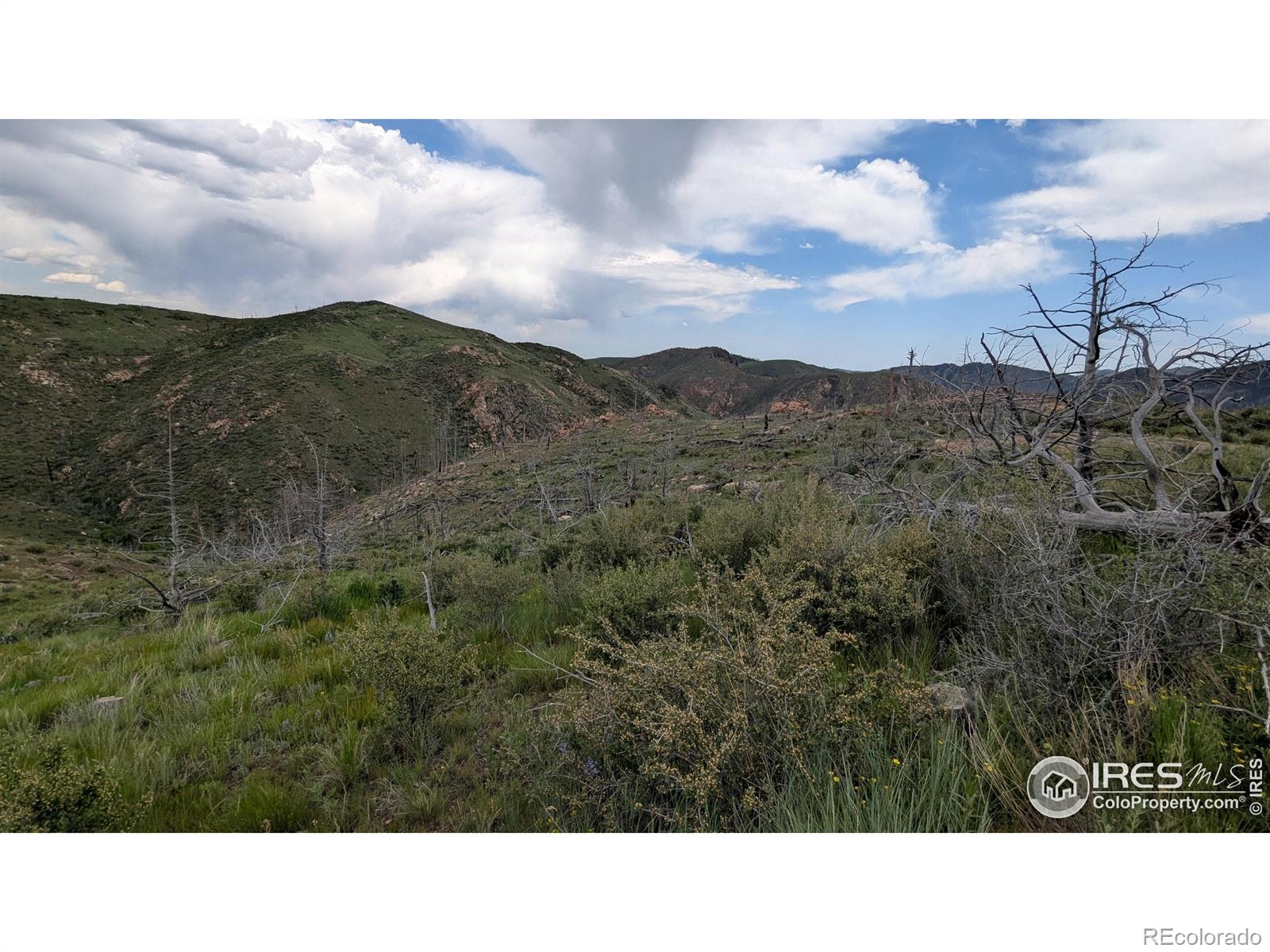 1324 Meadow Mountain Drive Livermore CO 80536
