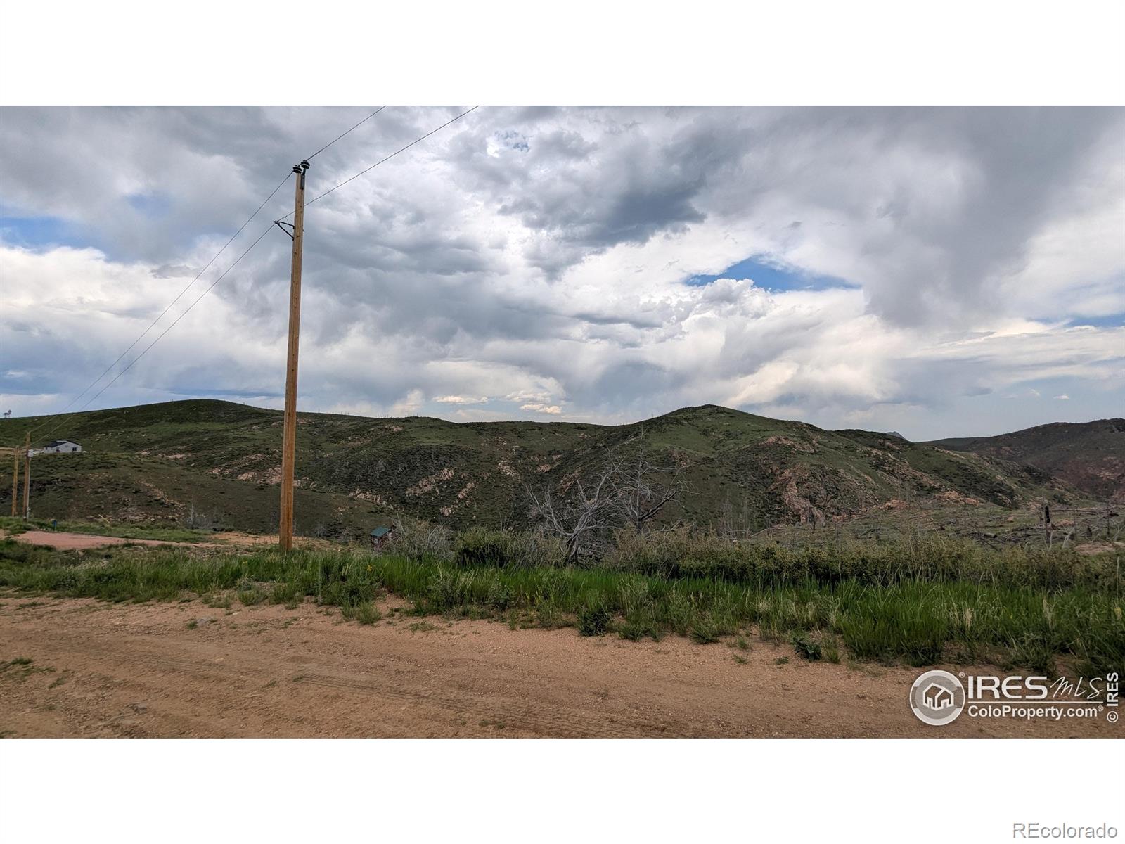 1324 Meadow Mountain Drive Livermore CO 80536