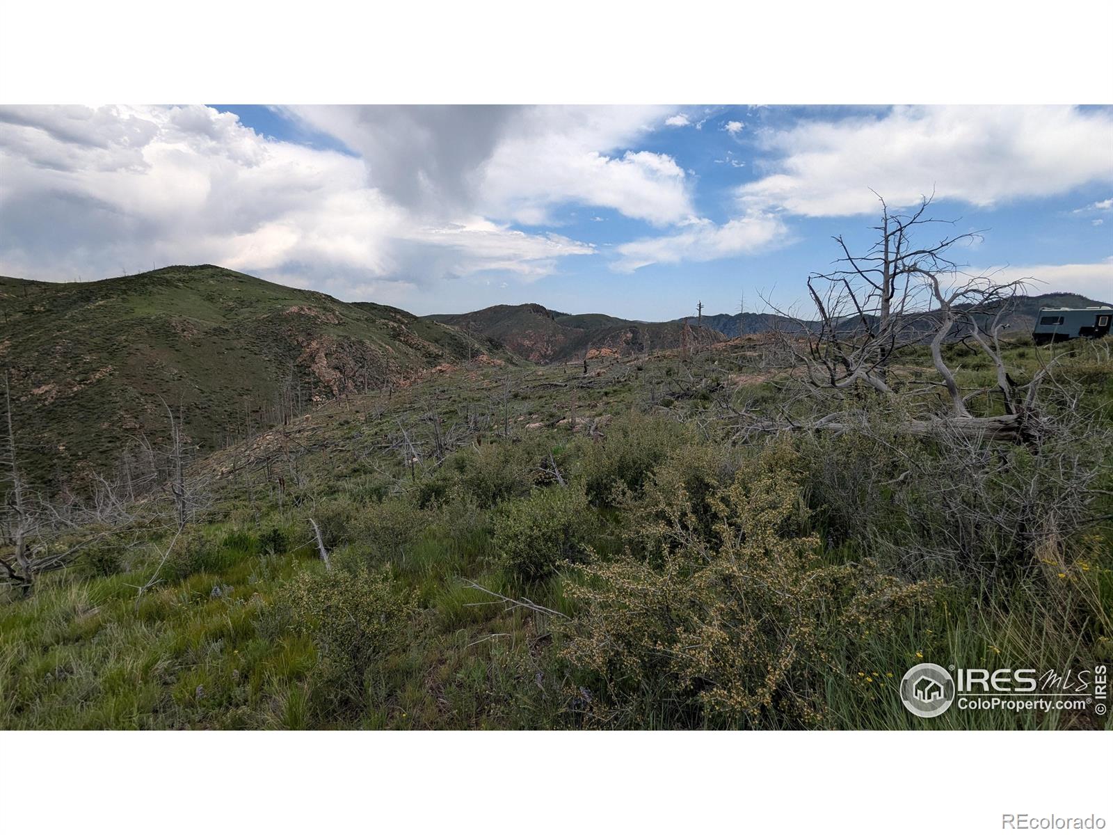 1324 Meadow Mountain Drive Livermore CO 80536