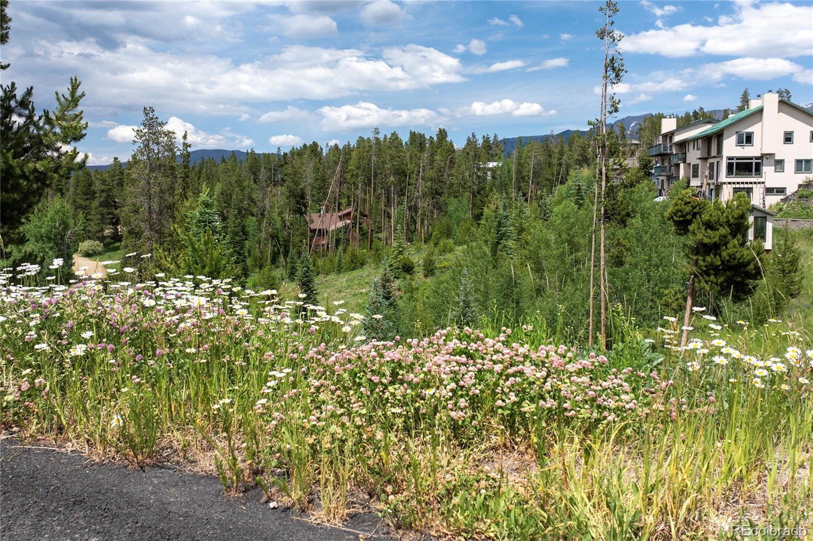 16 County Road 8343/elk Court Fraser CO 80442