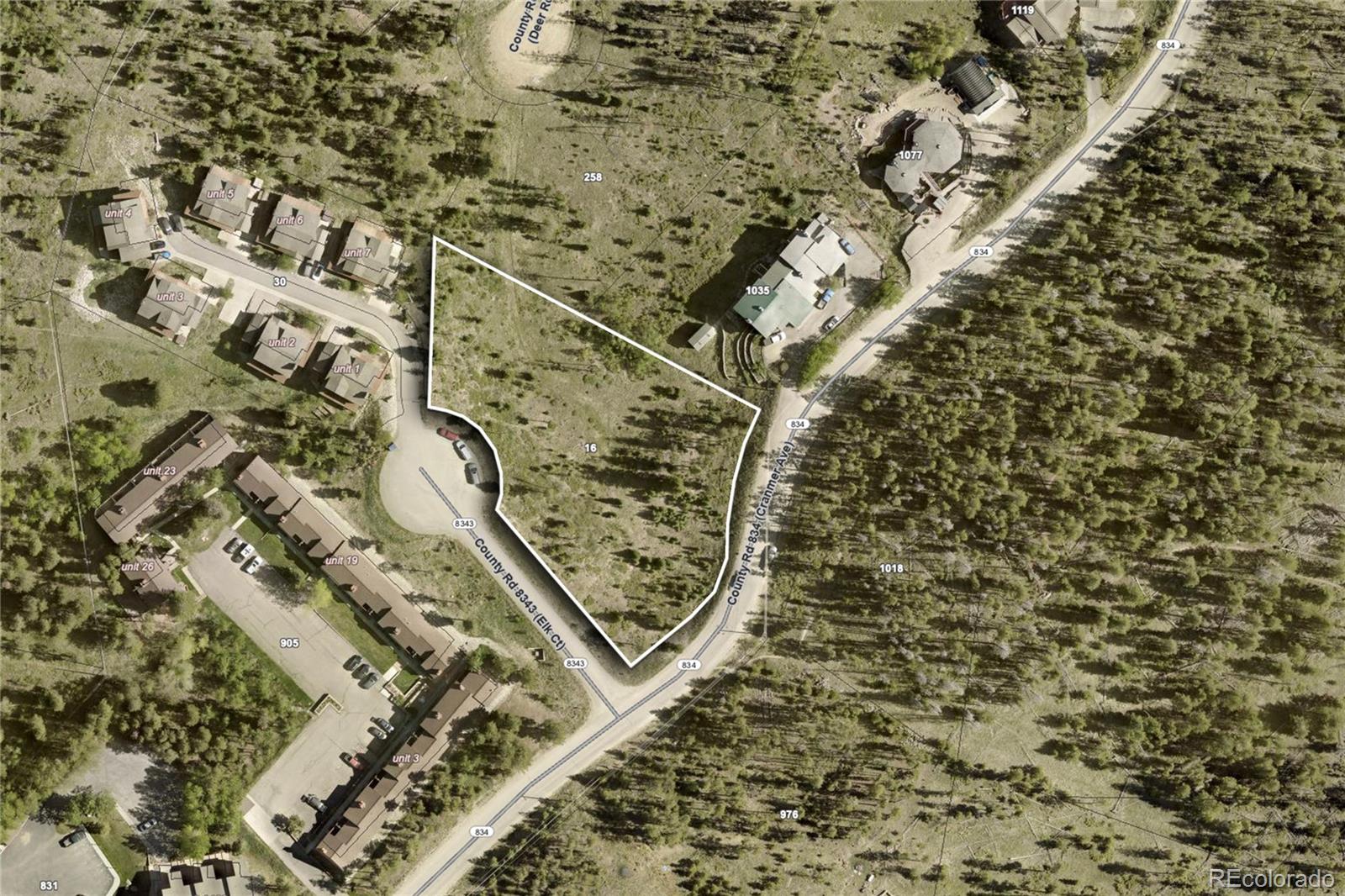 16 County Road 8343/elk Court Fraser CO 80442