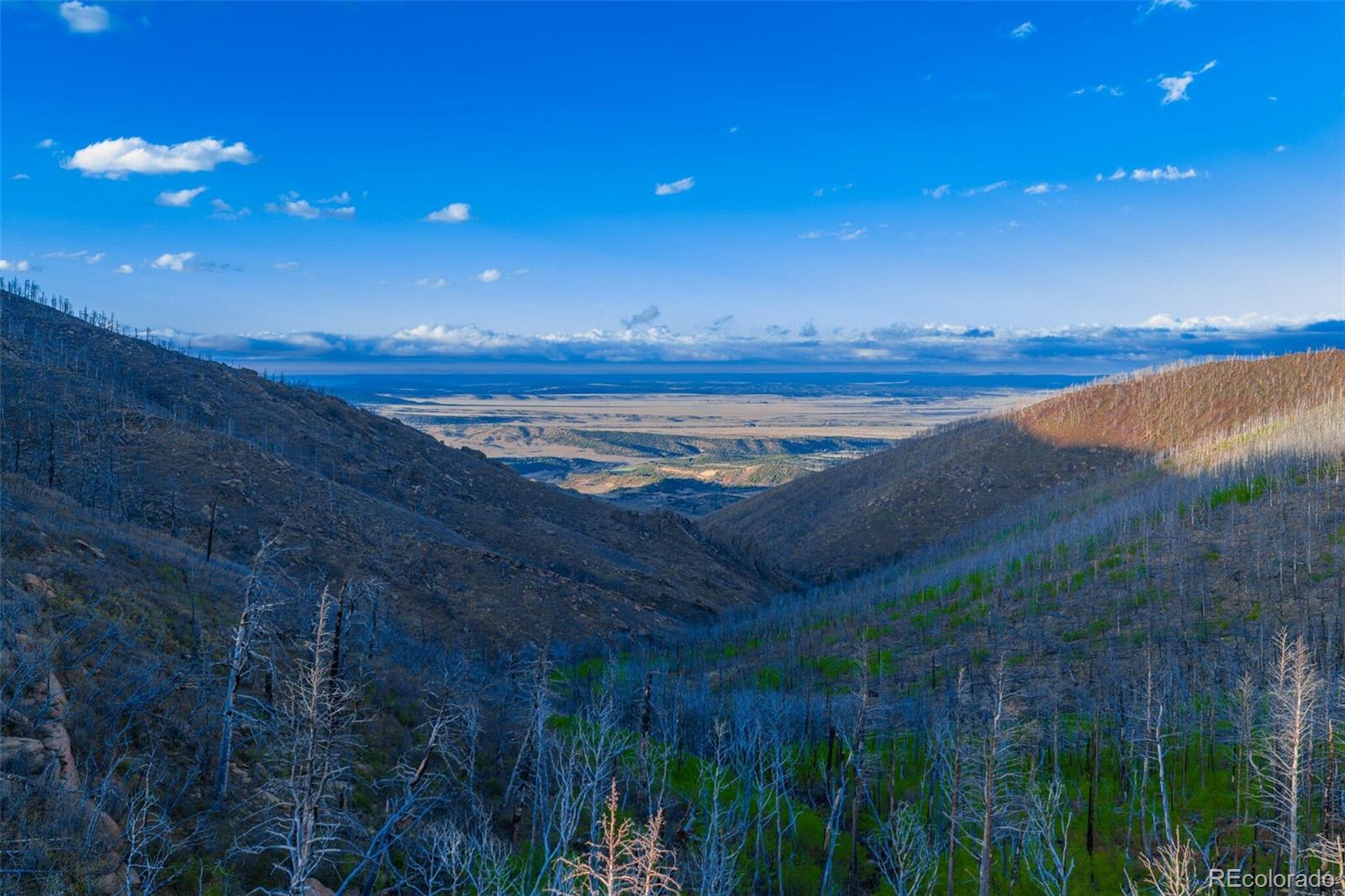 600 Acres La Veta CO 81055