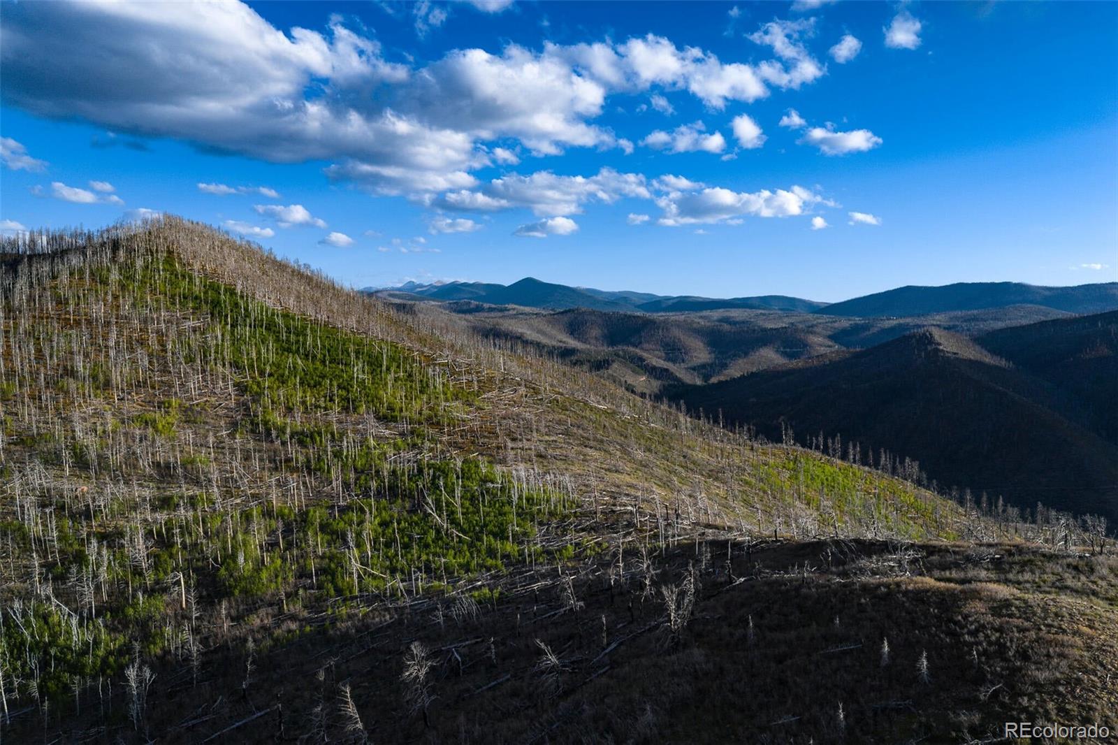 600 Acres La Veta CO 81055