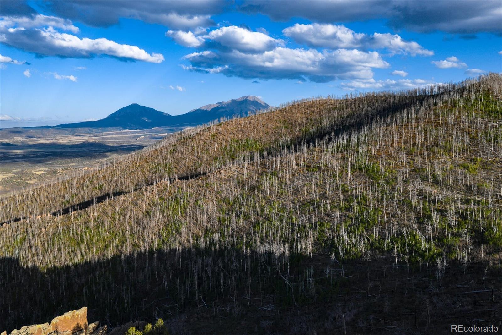 600 Acres La Veta CO 81055