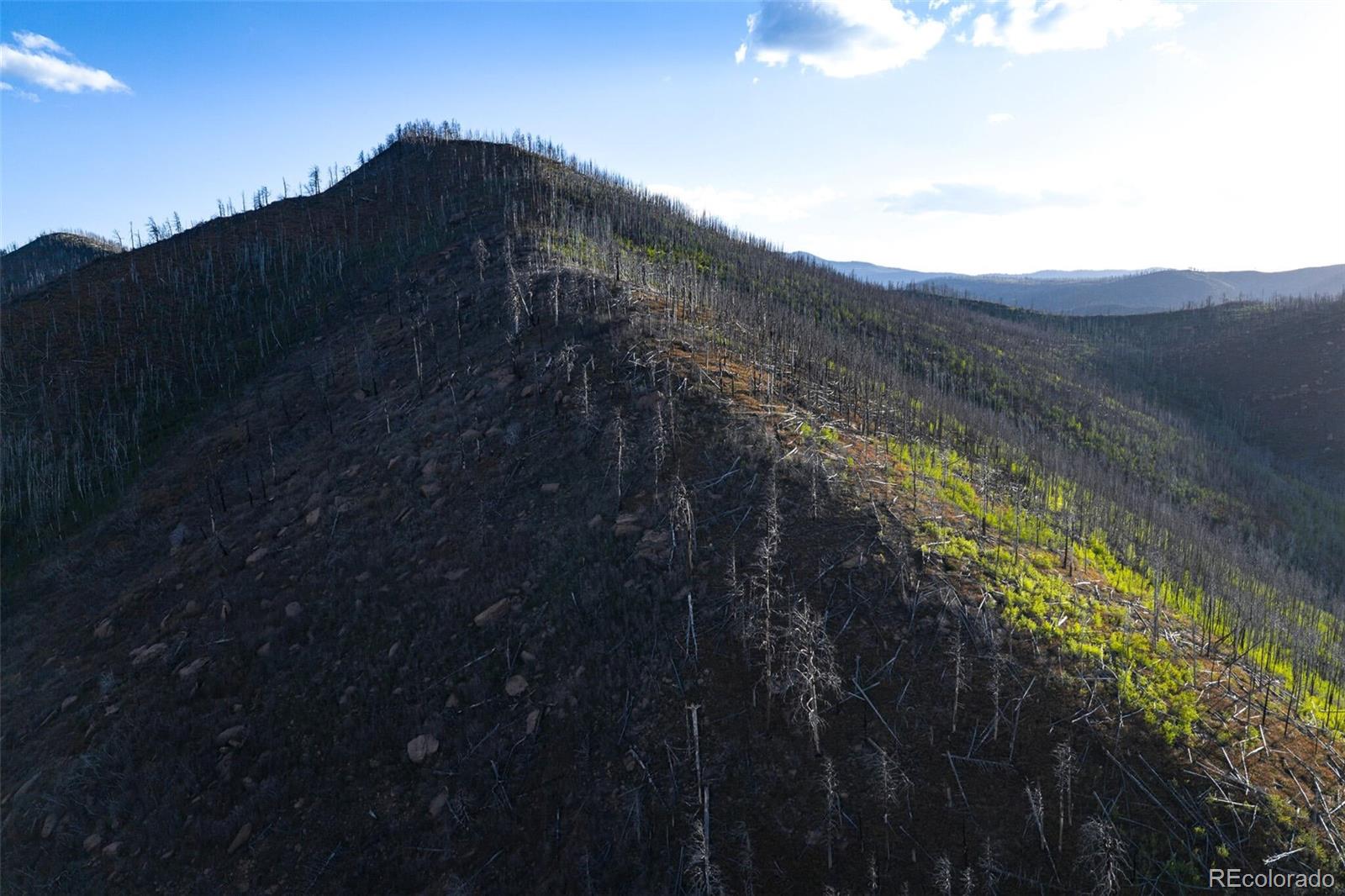 600 Acres La Veta CO 81055