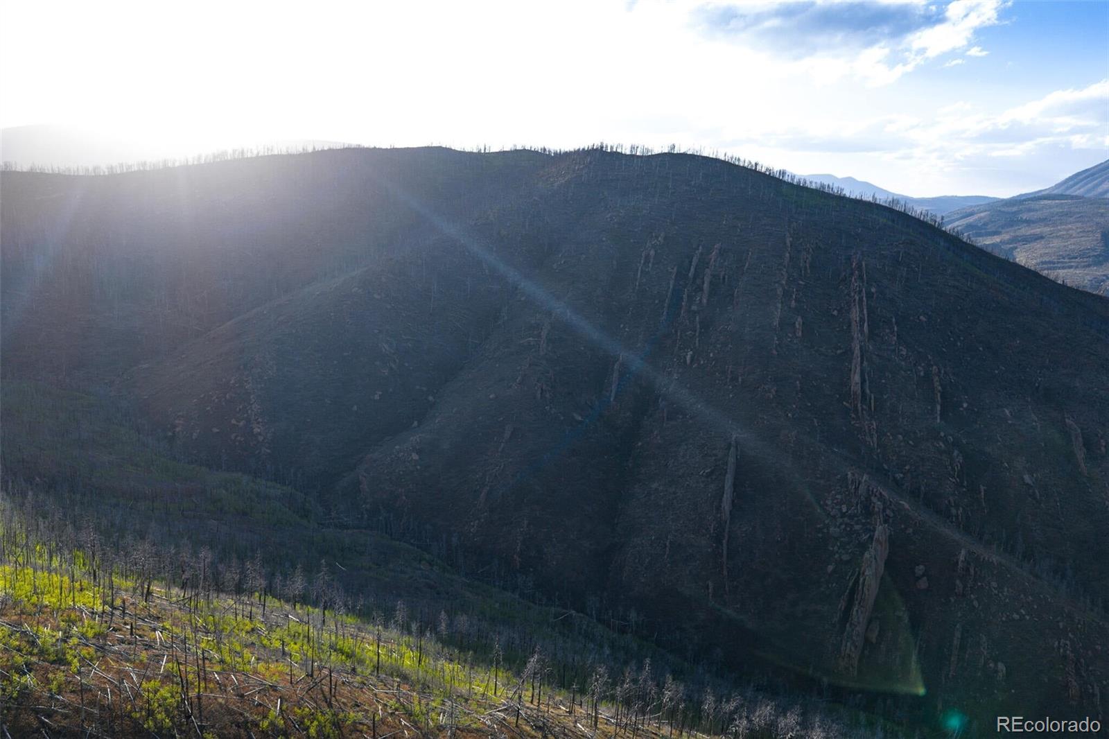 600 Acres La Veta CO 81055
