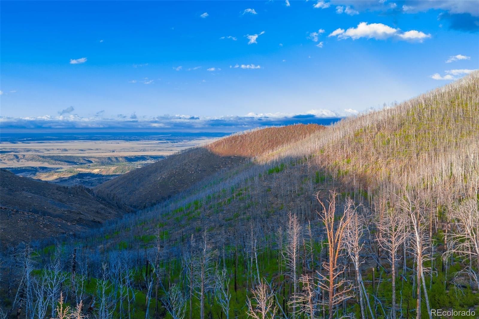 600 Acres La Veta CO 81055