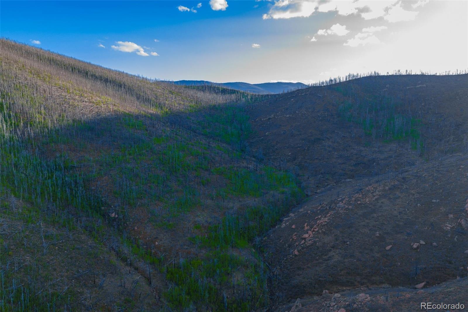 600 Acres La Veta CO 81055