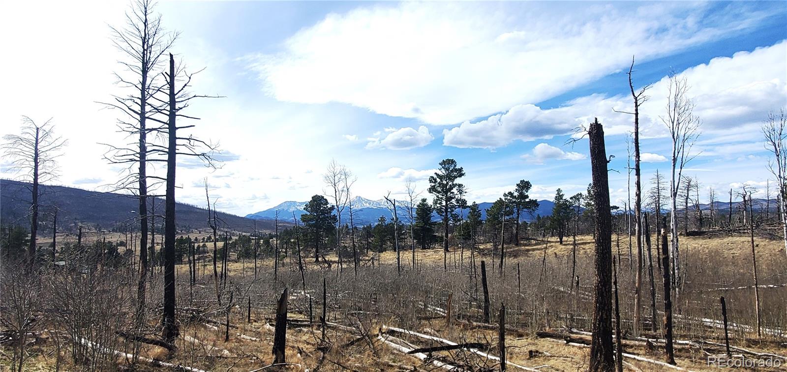 Lot 1209 Emery Loop Fort Garland CO 81133