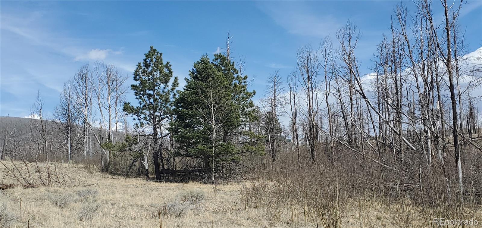 Lot 1209 Emery Loop Fort Garland CO 81133