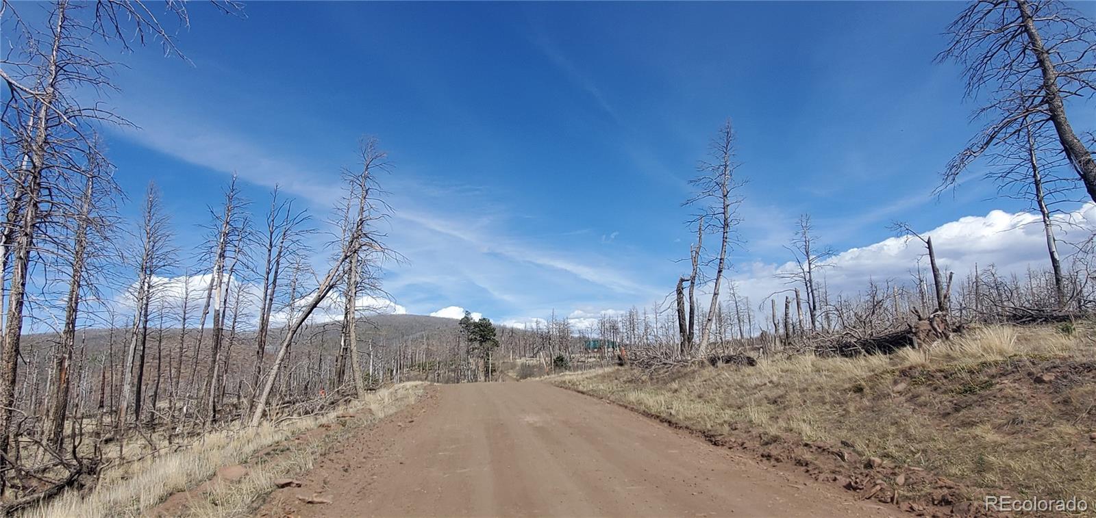 Lot 1209 Emery Loop Fort Garland CO 81133