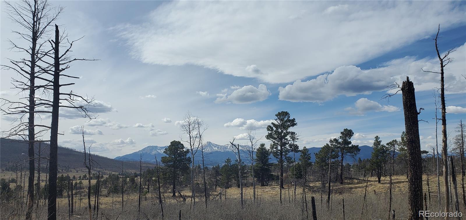 Lot 1209 Emery Loop Fort Garland CO 81133