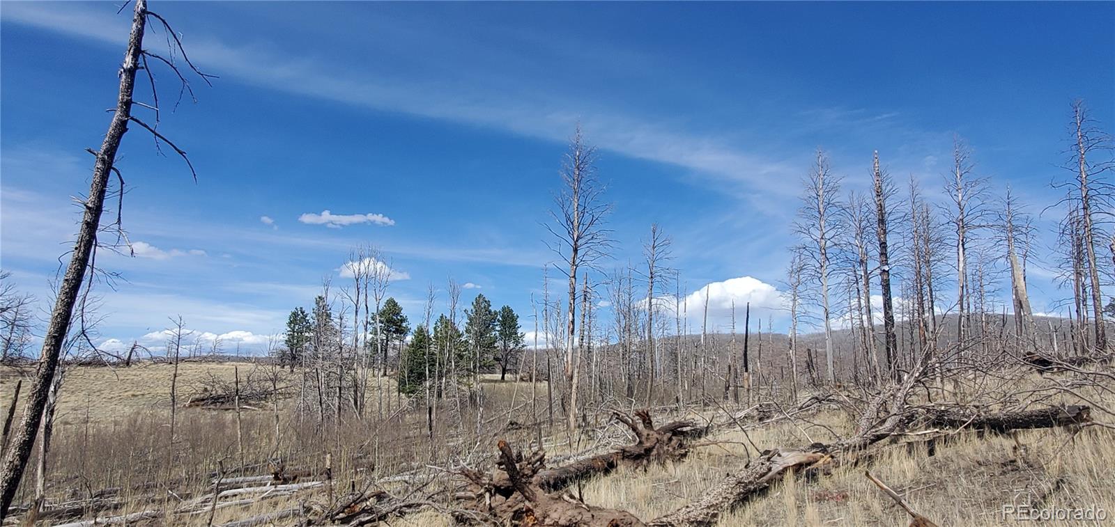 Lot 1209 Emery Loop Fort Garland CO 81133
