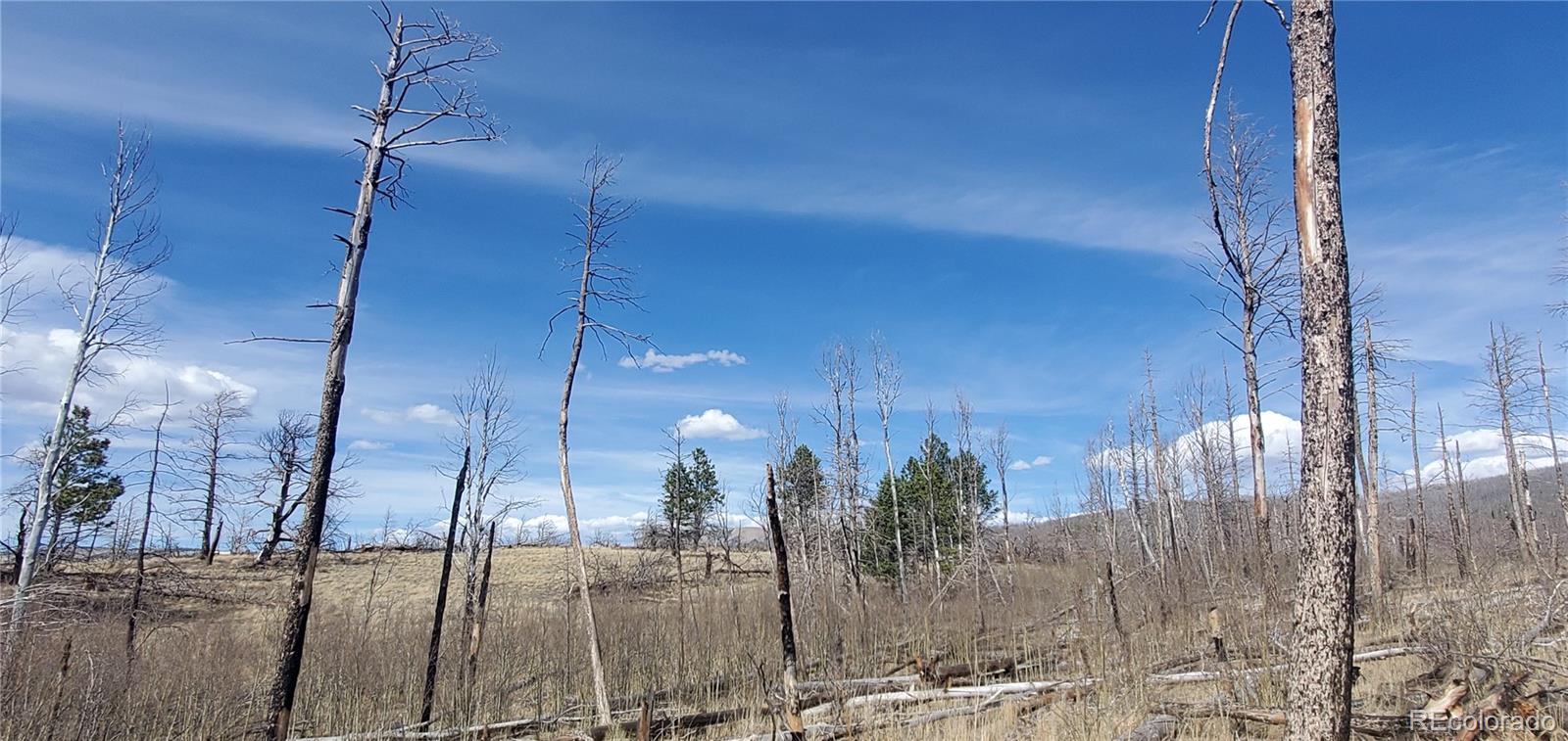 Lot 1209 Emery Loop Fort Garland CO 81133