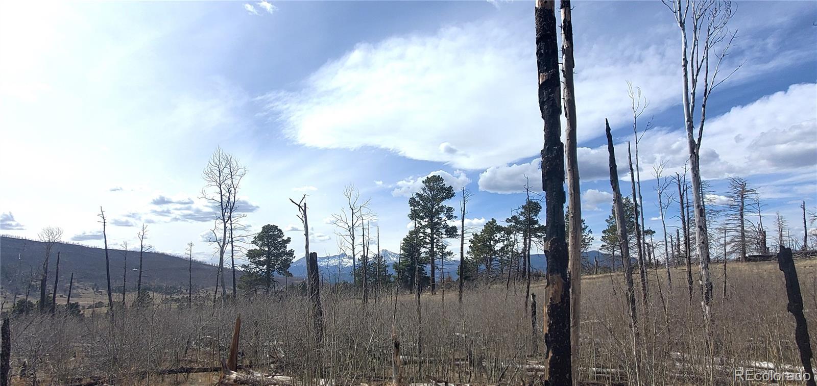 Lot 1209 Emery Loop Fort Garland CO 81133