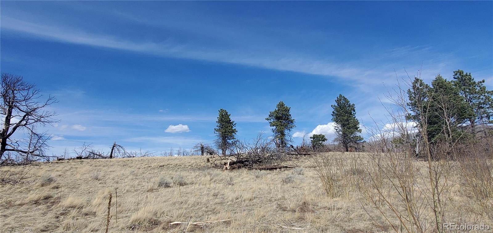 Lot 1209 Emery Loop Fort Garland CO 81133