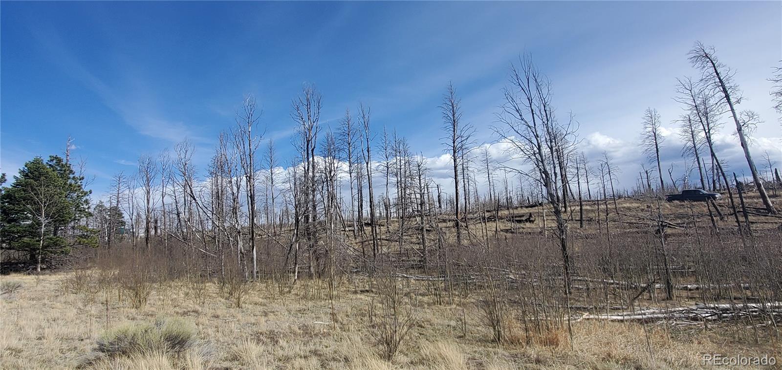 Lot 1209 Emery Loop Fort Garland CO 81133