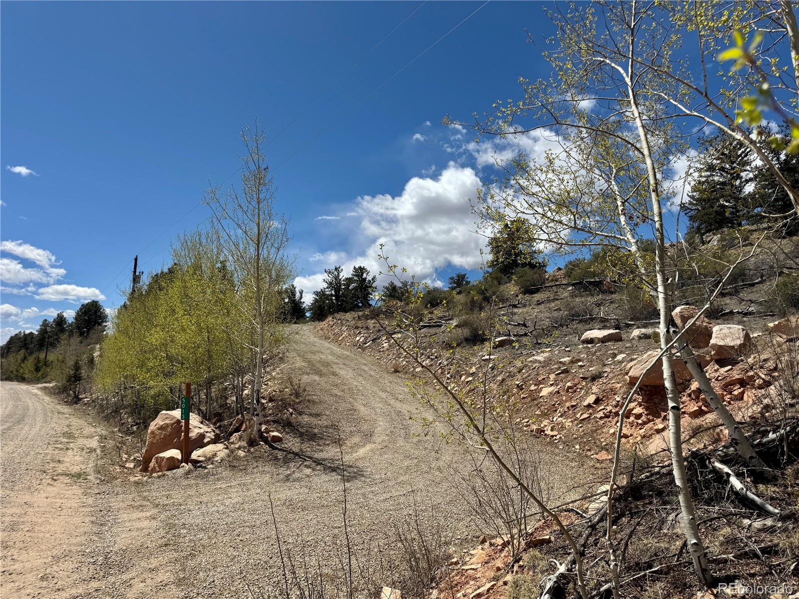 5013 Middle Fork Vista Fairplay CO 80440