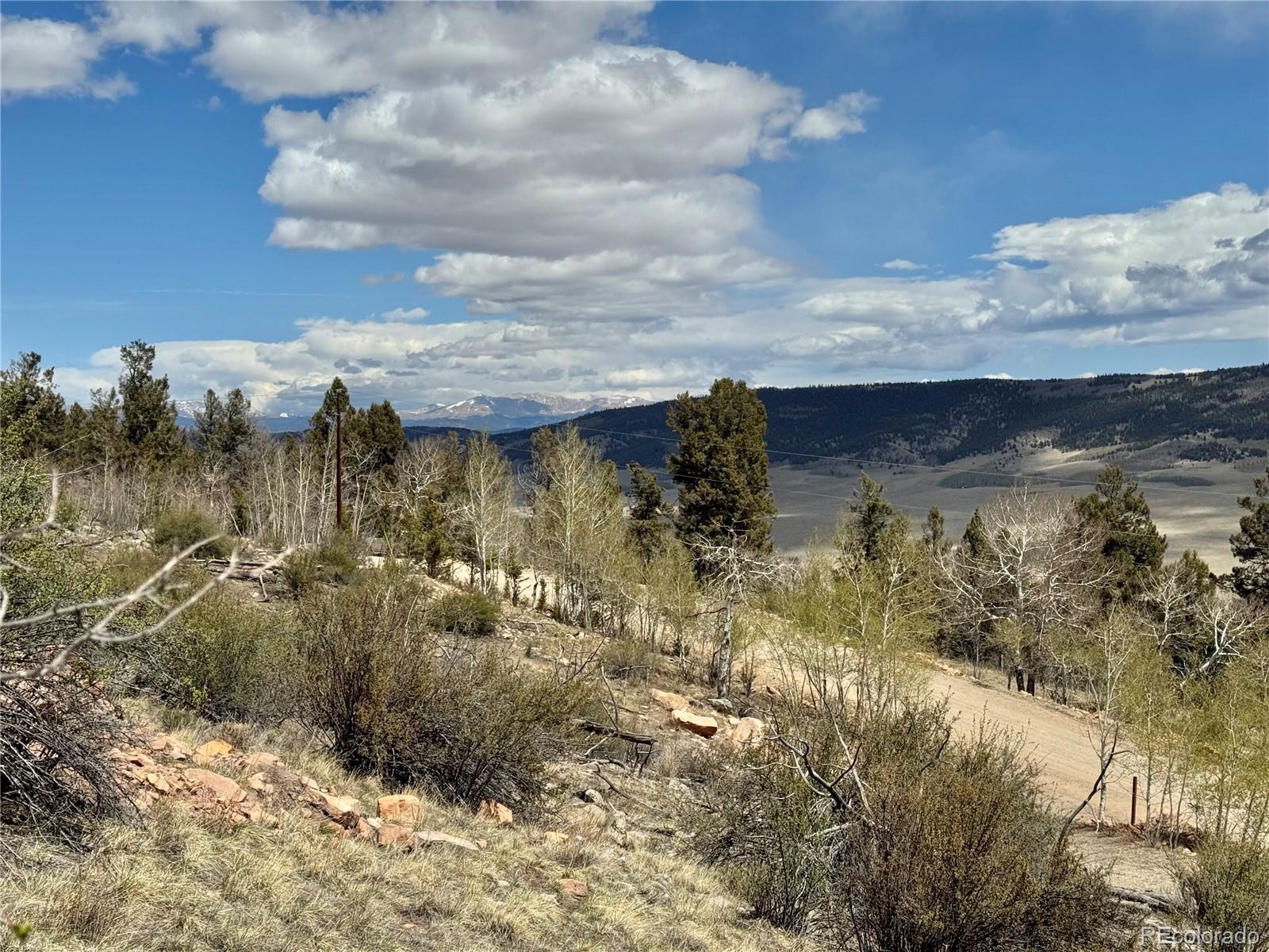 5013 Middle Fork Vista Fairplay CO 80440
