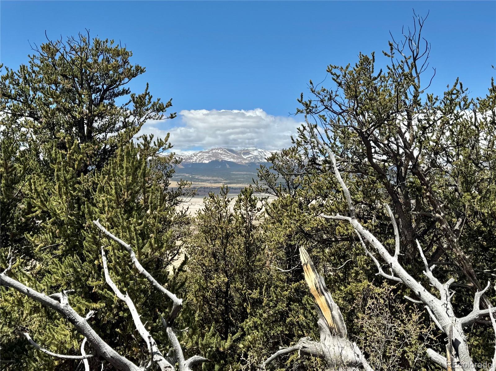 5013 Middle Fork Vista Fairplay CO 80440