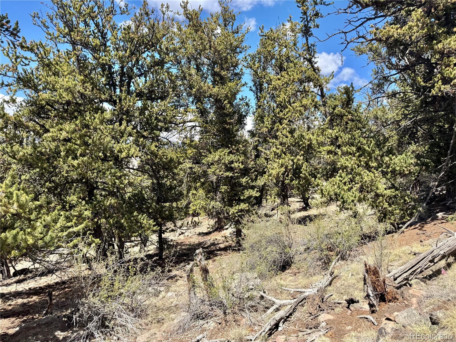 5013 Middle Fork Vista Fairplay CO 80440