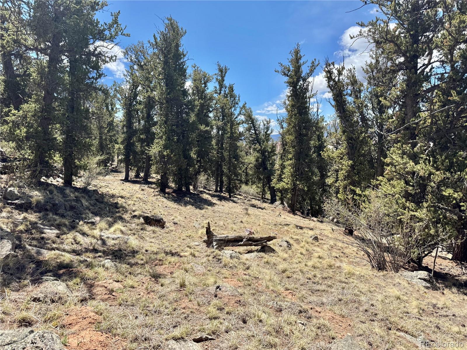 5013 Middle Fork Vista Fairplay CO 80440