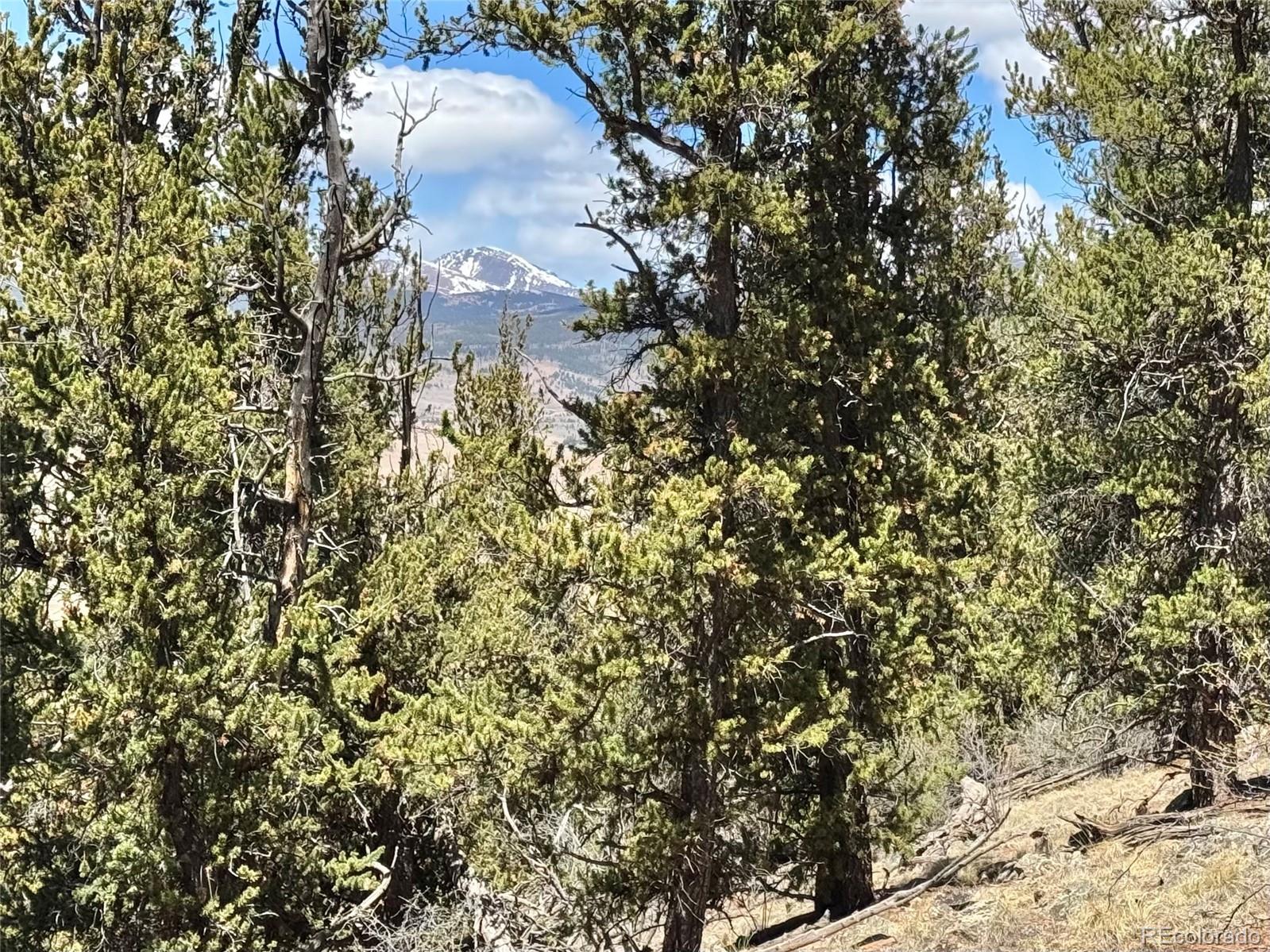 5013 Middle Fork Vista Fairplay CO 80440