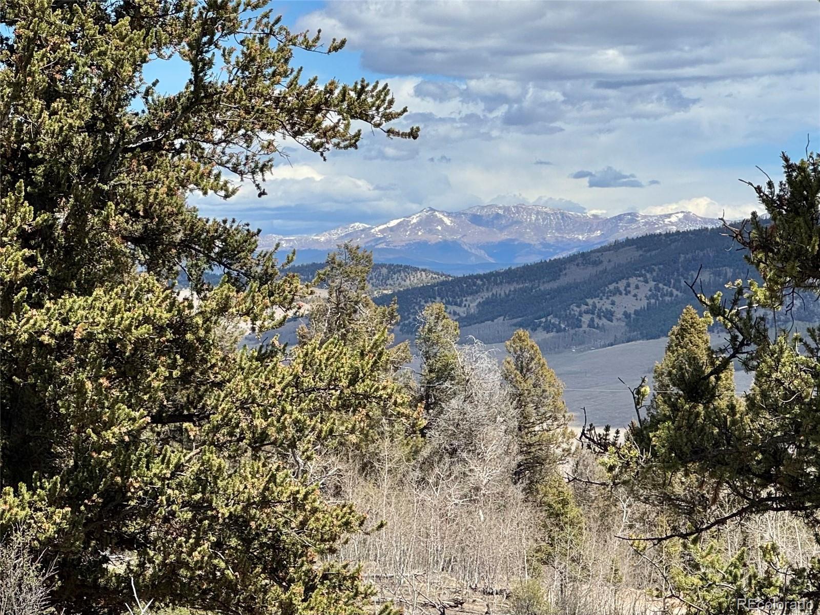 5013 Middle Fork Vista Fairplay CO 80440