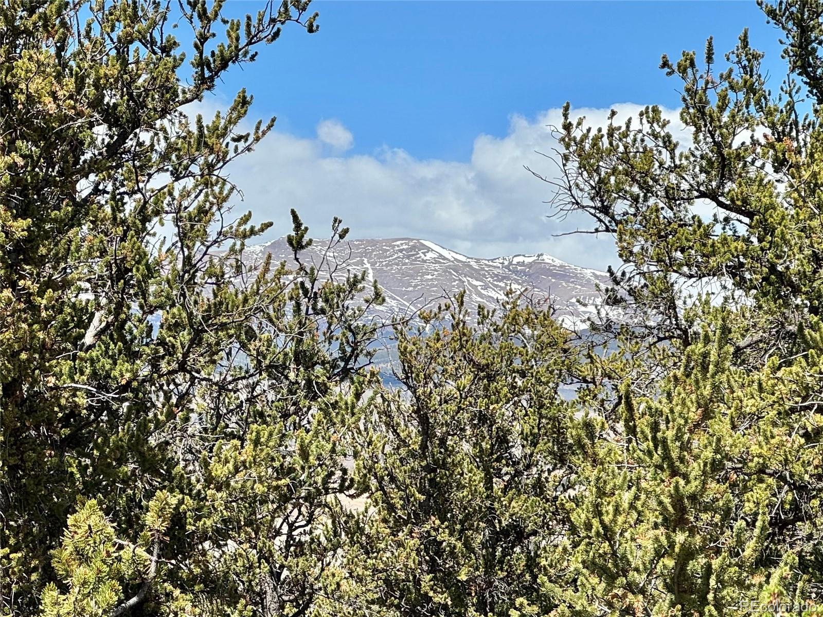 5013 Middle Fork Vista Fairplay CO 80440