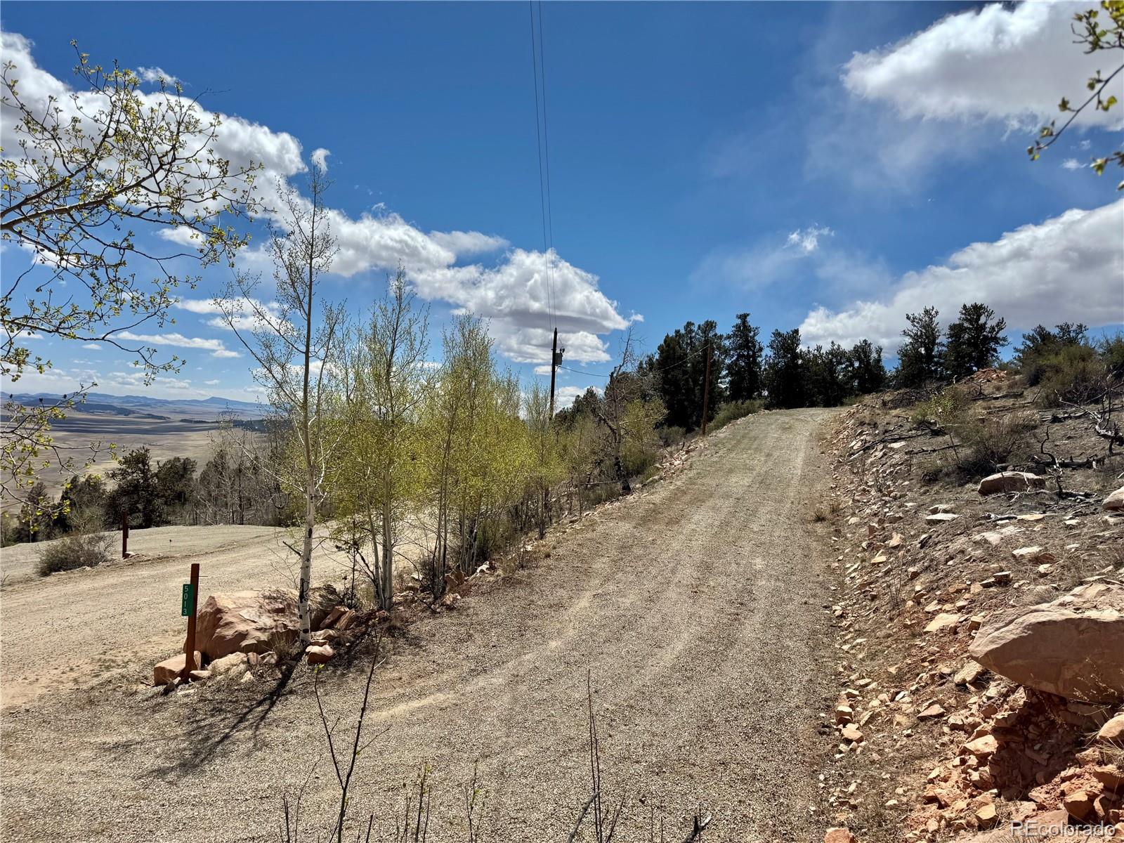 5013 Middle Fork Vista Fairplay CO 80440