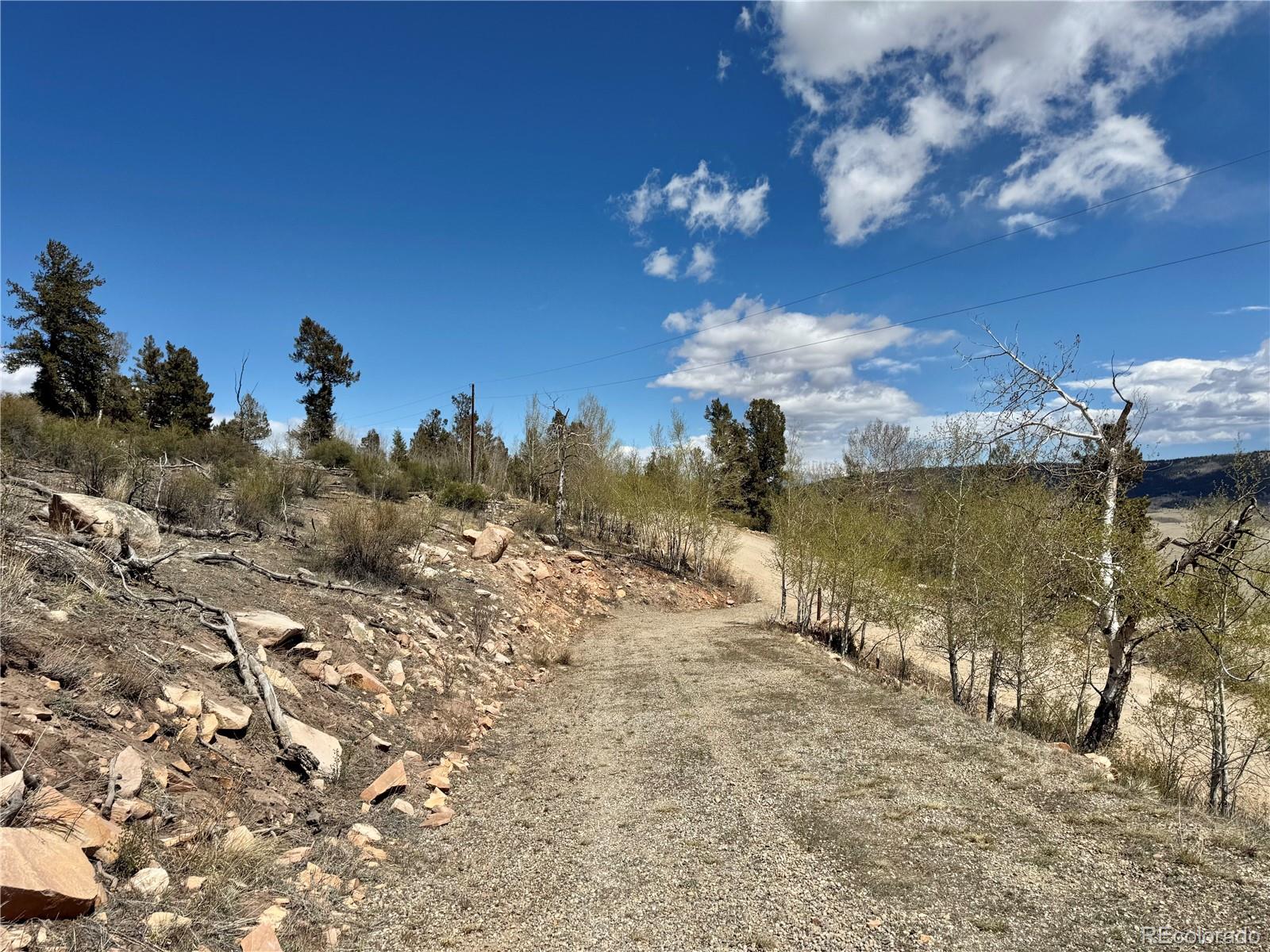 5013 Middle Fork Vista Fairplay CO 80440