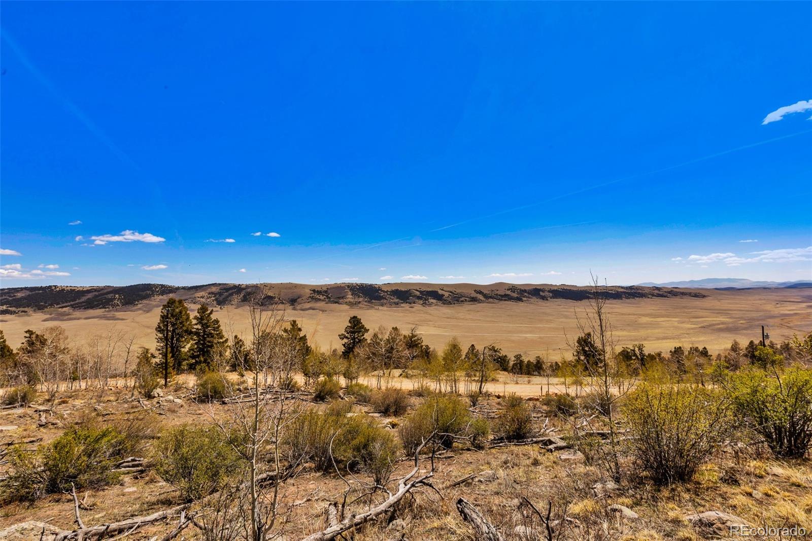 5013 Middle Fork Vista Fairplay CO 80440