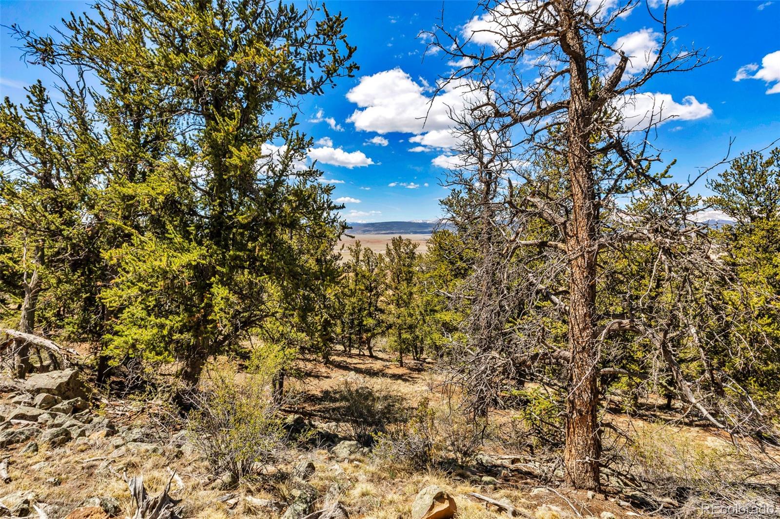 5013 Middle Fork Vista Fairplay CO 80440