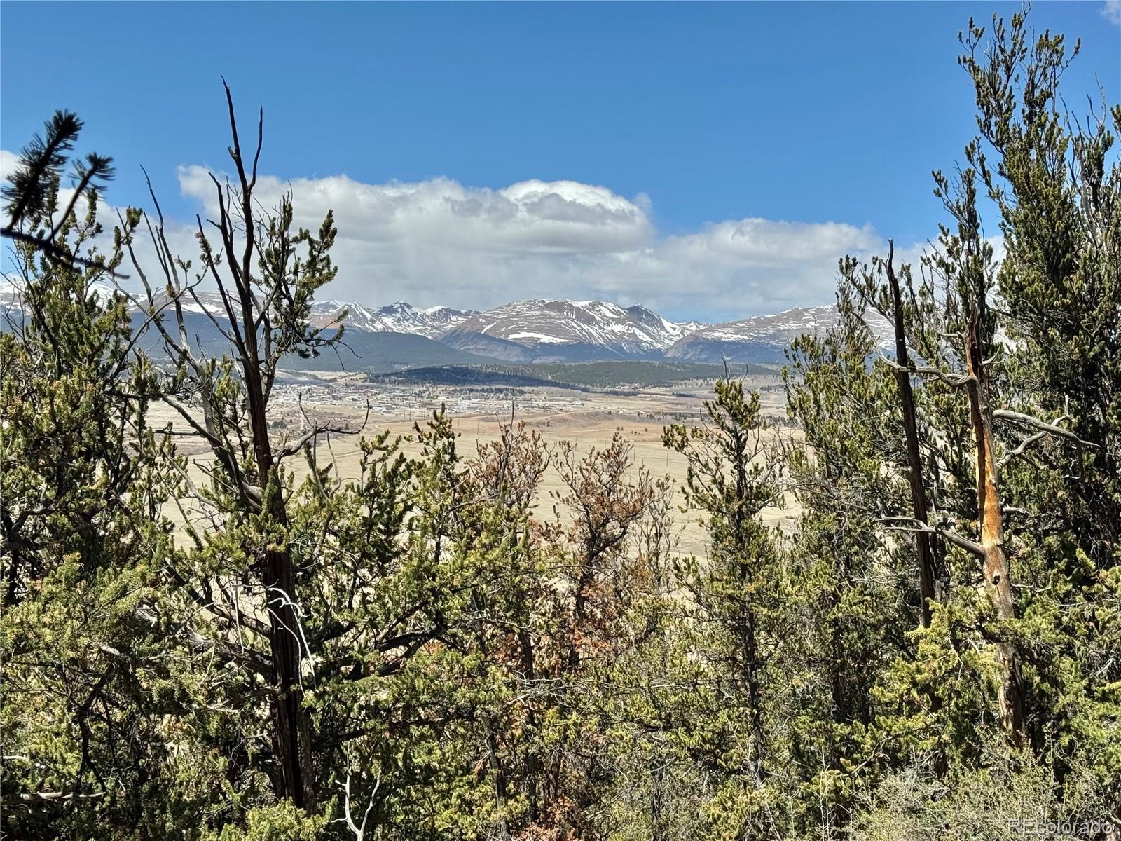 5013 Middle Fork Vista Fairplay CO 80440
