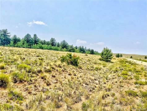 887 Superstition Trail Hartsel CO 80449