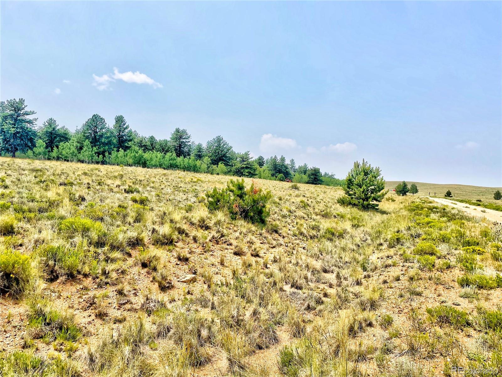 887 Superstition Trail Hartsel CO 80449
