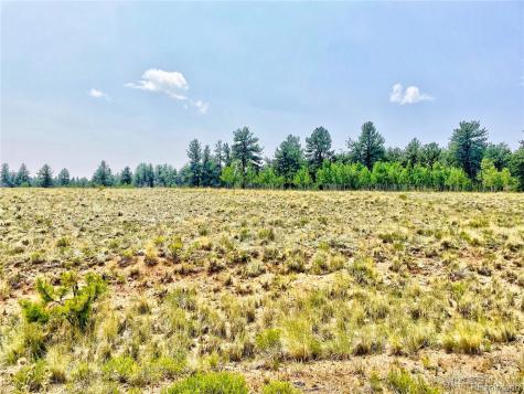 887 Superstition Trail Hartsel CO 80449