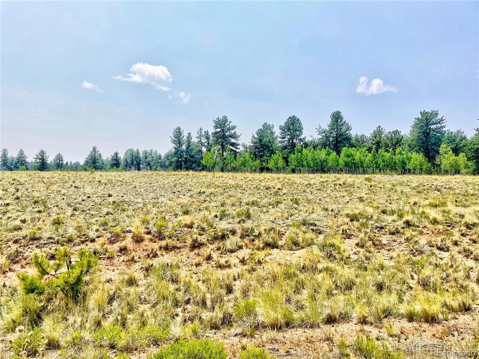 887 Superstition Trail Hartsel CO 80449