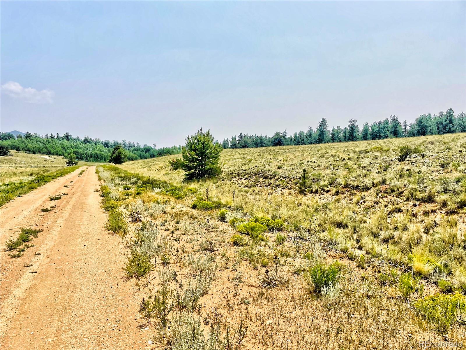 887 Superstition Trail Hartsel CO 80449