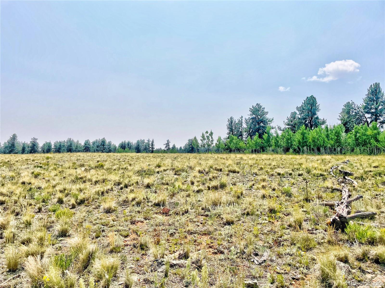 887 Superstition Trail Hartsel CO 80449