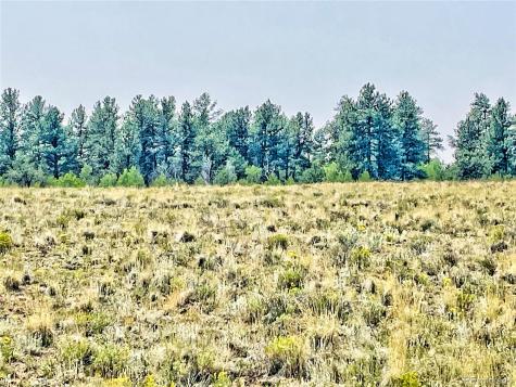 887 Superstition Trail Hartsel CO 80449