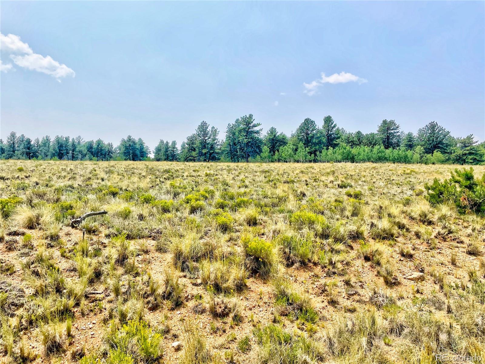 887 Superstition Trail Hartsel CO 80449