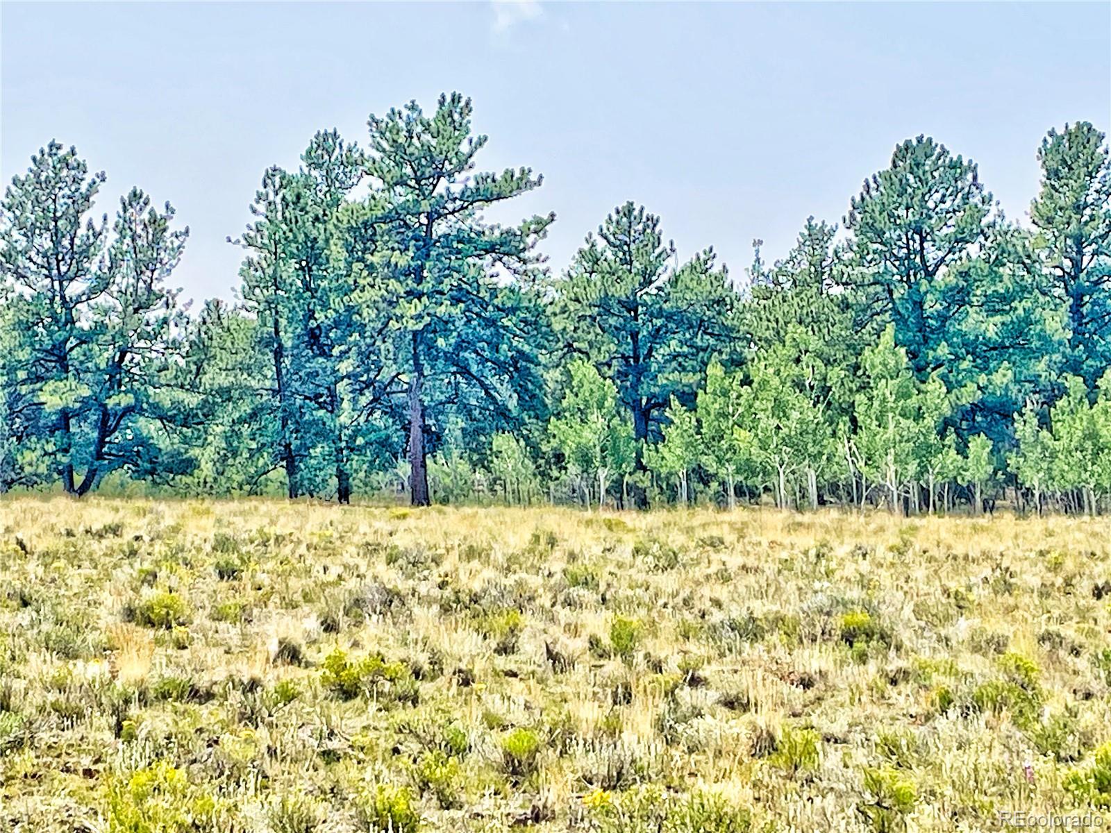 887 Superstition Trail Hartsel CO 80449