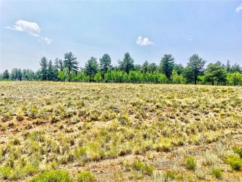 887 Superstition Trail Hartsel CO 80449