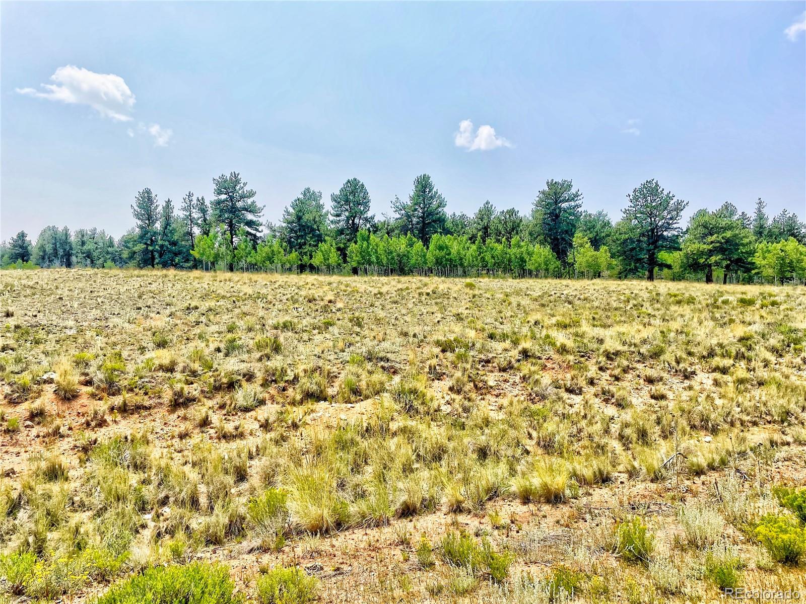 887 Superstition Trail Hartsel CO 80449