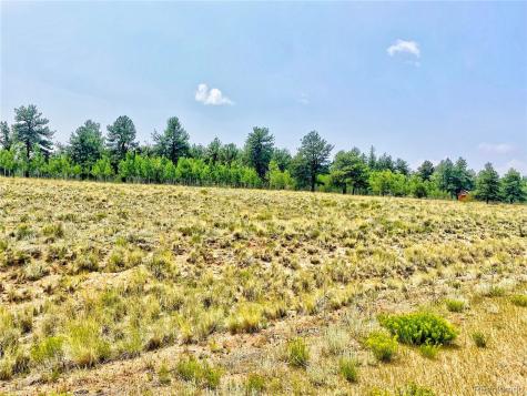 887 Superstition Trail Hartsel CO 80449