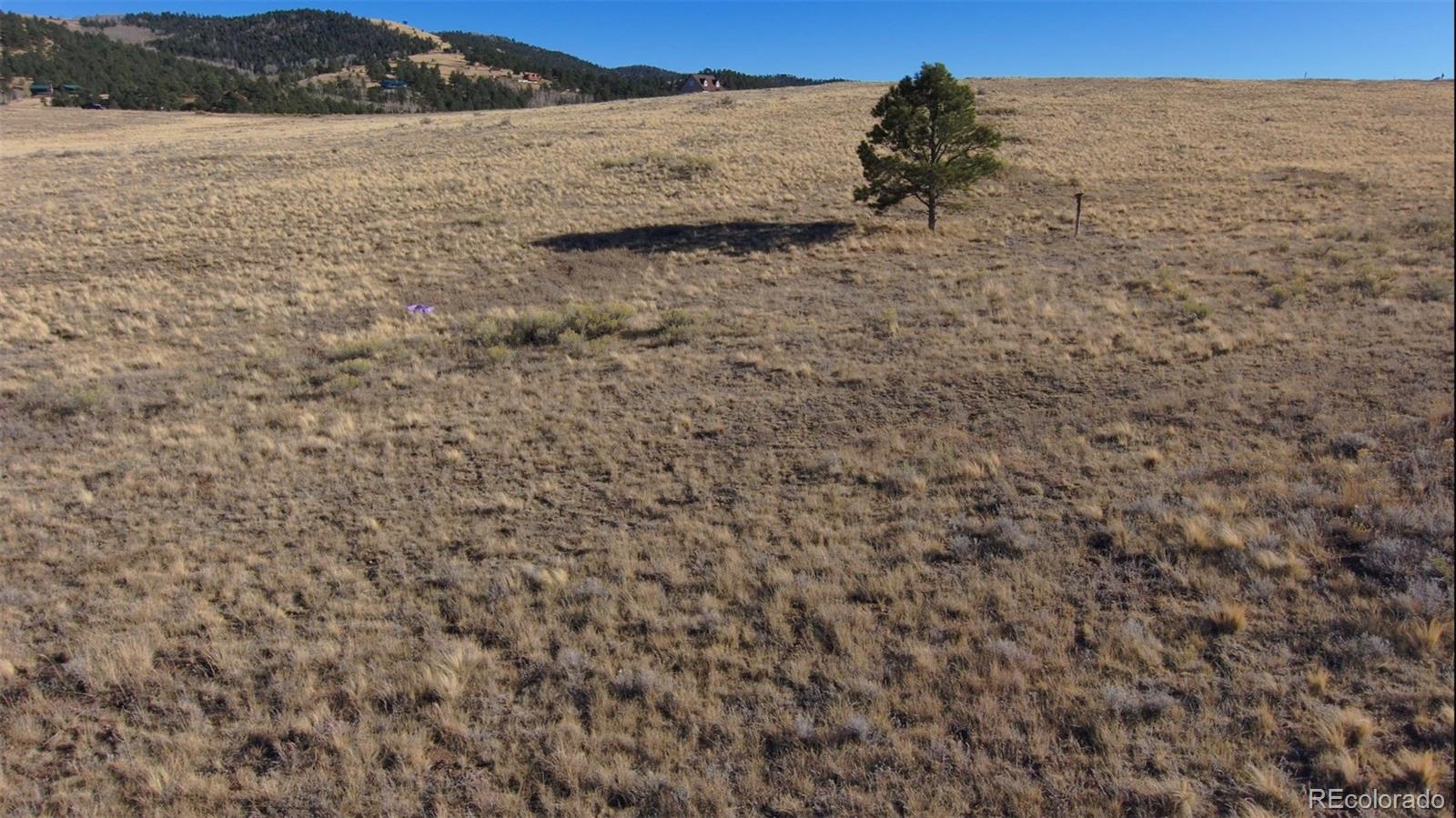152 Wulsten Way Westcliffe CO 81252