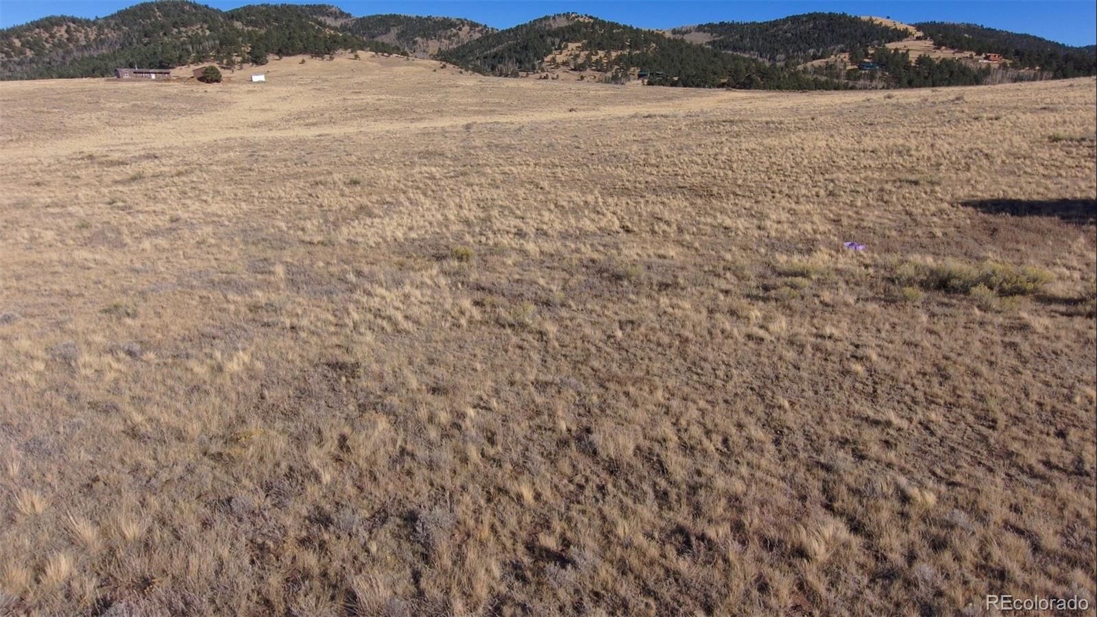 152 Wulsten Way Westcliffe CO 81252