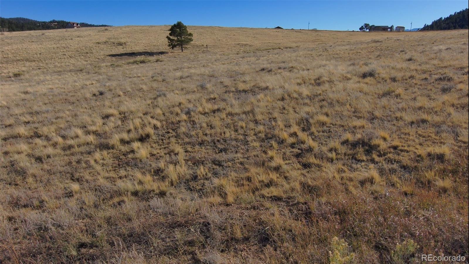 152 Wulsten Way Westcliffe CO 81252